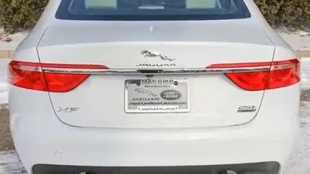2019 Jaguar XF Premium in Macomb, MI 48044 смотреть онлайн