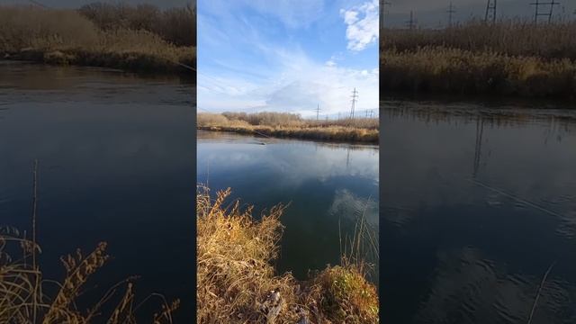 Учимся закидывать с мотовила для заброса донок #природа #красотаприроды #донка #рыбалка #рыбак #рыба смотреть онлайн