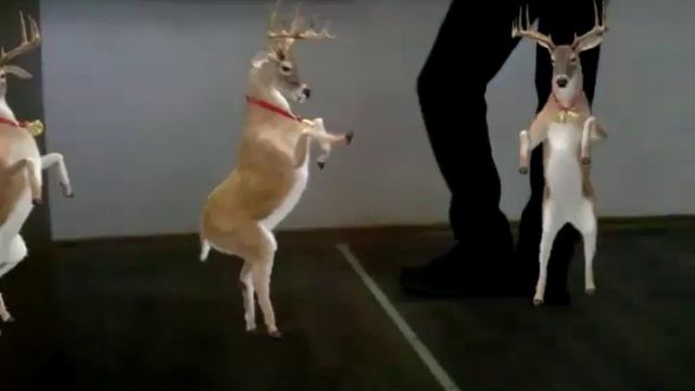 танцует алень