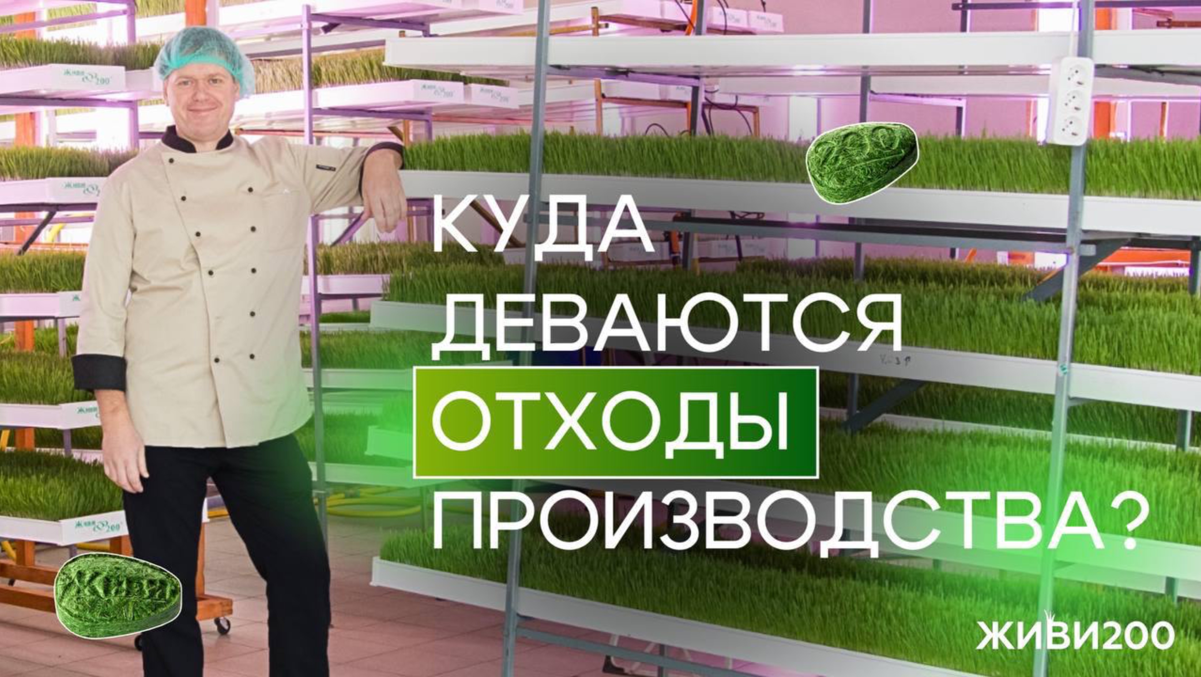 Куда деваются отходы производства? #витграсс #здоровье #витамины #организм #важно #полезно #польза