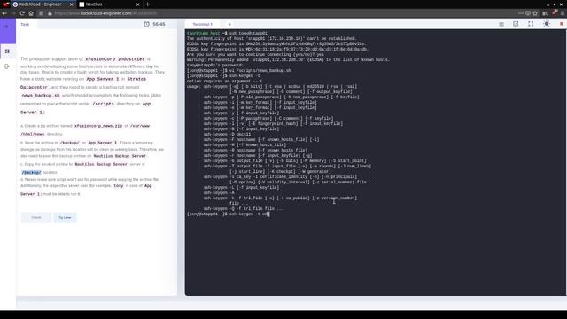 KodeKloud Engineer: Linux Bash Scripts смотреть онлайн