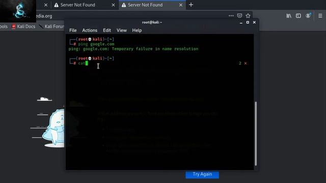 kali Linux net work problem solve!!!See the video and fix your problem!!!Thank you... смотреть онлайн