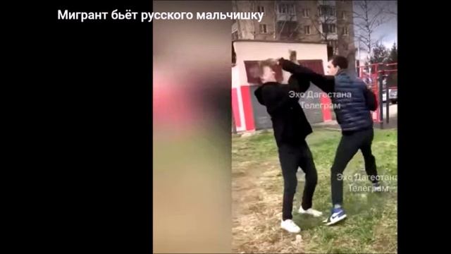 Учителя уходят из школ из-за мигрантов смотреть онлайн