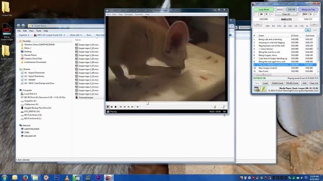 Looper Trimmer - a companion program to MPC-HC Looper (Demo) смотреть онлайн