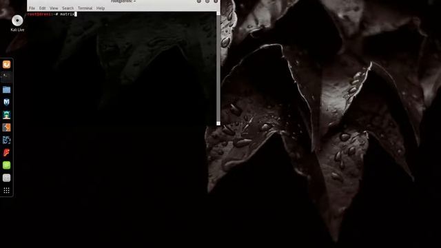 Kali Linux MATRIX Effect TUTORIALS смотреть онлайн
