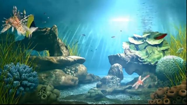 aquarium2.MP4 смотреть онлайн