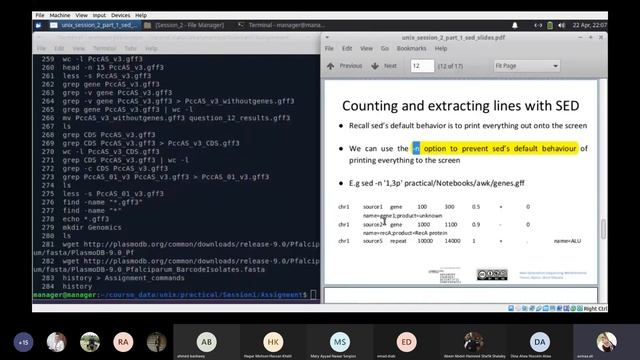 SED Command смотреть онлайн