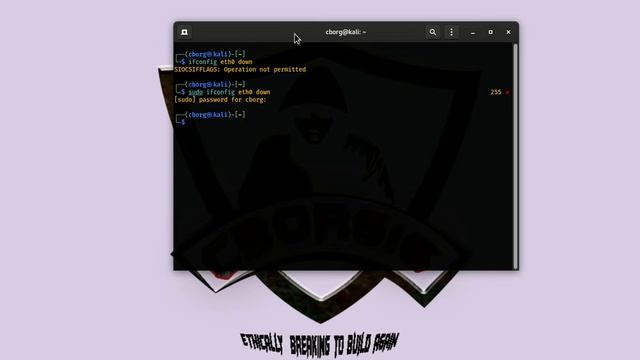 How to change IP address in 2 minute || Kali Linux смотреть онлайн