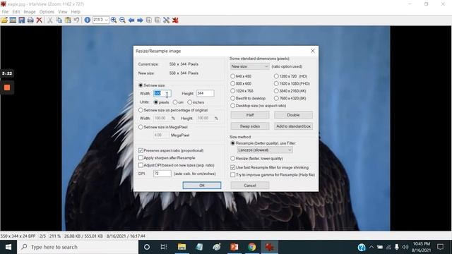 Free Image Editing with IrfanView смотреть онлайн