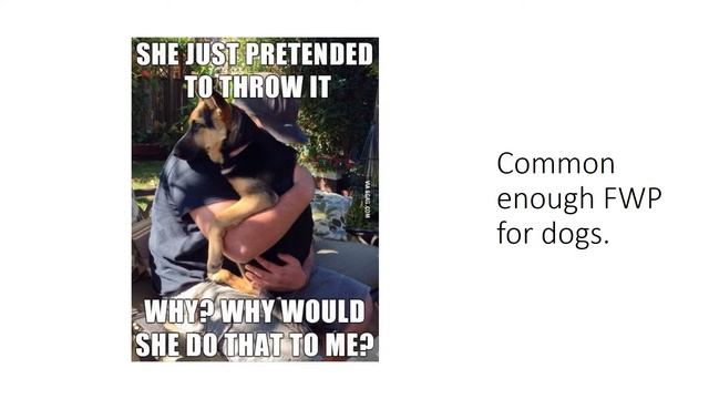 Black Fedora Viewpoints: First World Problems смотреть онлайн