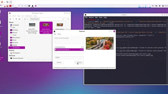 lab 7 how to embed and extract files by installing steghide and stegosuite in kali смотреть онлайн
