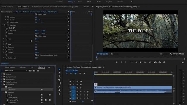 TEXT ANIMATION using Adobe Premiere Pro смотреть онлайн