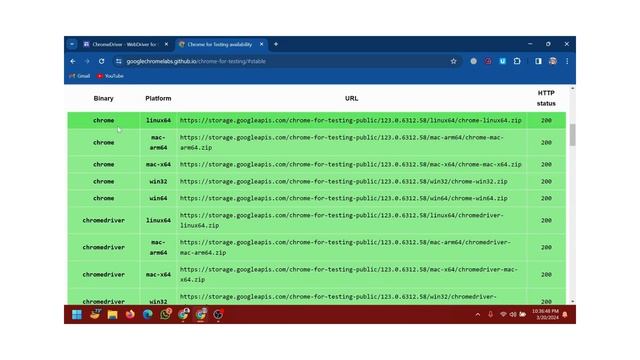 How to Download Chromedriver 123 #chromedriver #webdriver #selenium смотреть онлайн