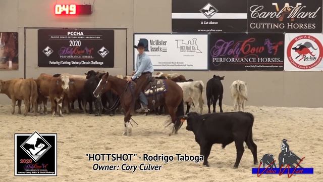 Rodrigo Taboga 225 Hottshot PCCHA Futurity Intermediate Open Classic Champion смотреть онлайн