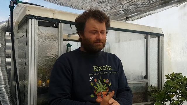 Comprendre les Heliamphora, ces plantes délicate!!!! смотреть онлайн