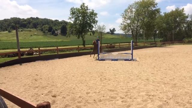 Kaila Pakula and Guyana Starter Novice смотреть онлайн