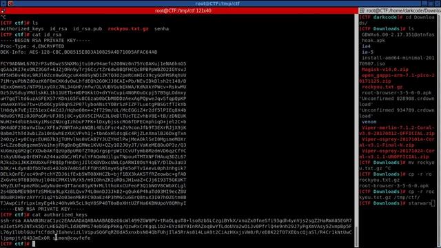 Covfefe VulnHub CTF WalkThrough смотреть онлайн