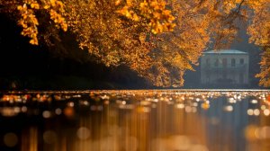 Осенним вечером