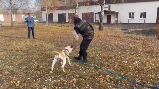 ДИНО - ПРОМО смотреть онлайн