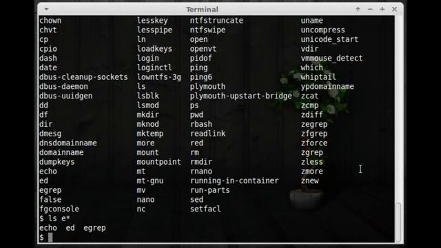 Learn Your Linux - Lesson 1 (Part 3) смотреть онлайн