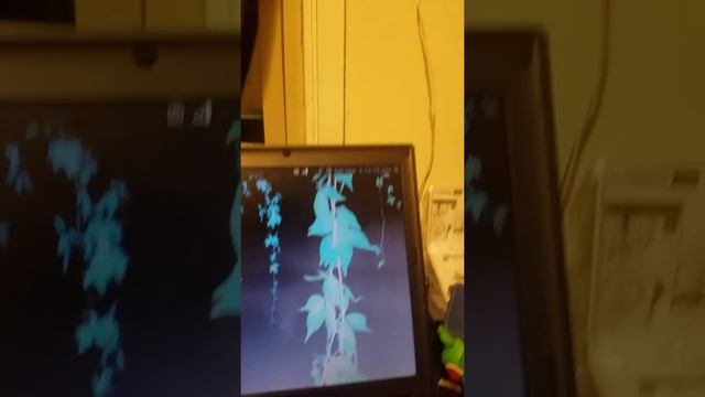 Linux laptop update смотреть онлайн