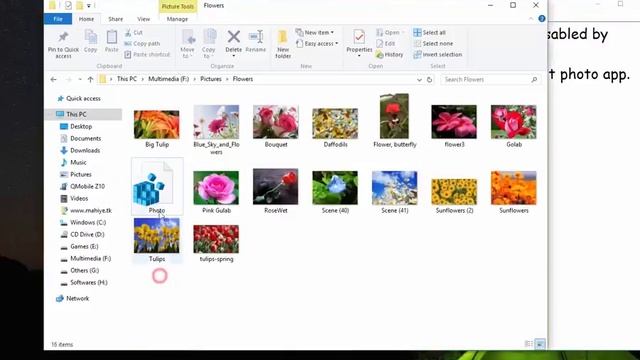 How to Enable Windows Photo Viewer in Windows 10 смотреть онлайн