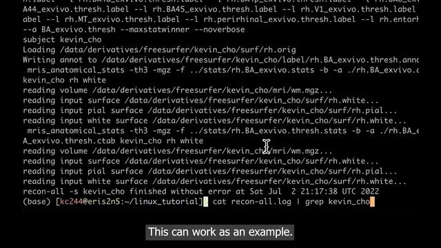 Pipe | Linux Workshop for Neuroimaging & Bioinformatics | part 2 смотреть онлайн