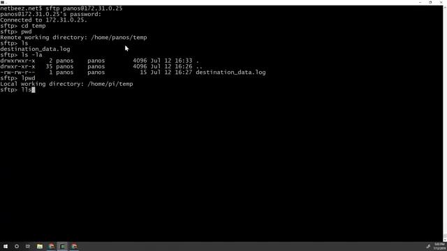 How to Use Secure FTP смотреть онлайн