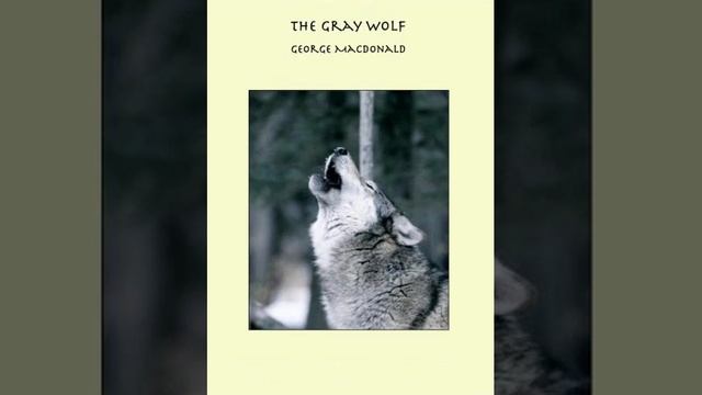 The Gray Wolf смотреть онлайн