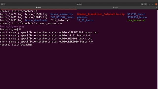 Visualize BUSCO Report for Genome Assemblies смотреть онлайн