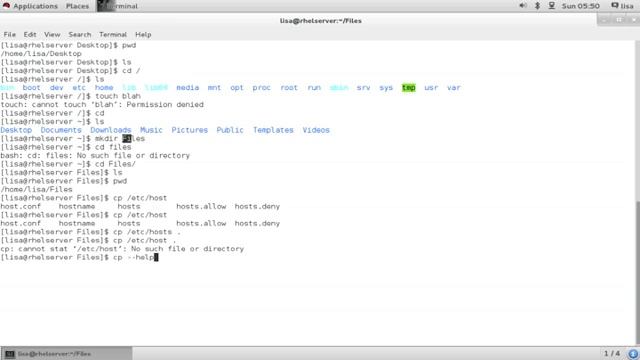 Lesson 3.2: Essentials File Management Task (Part 14) смотреть онлайн