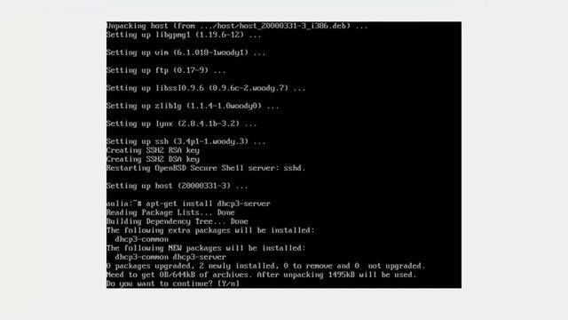 Instal debian 3 denga dns dhcp смотреть онлайн