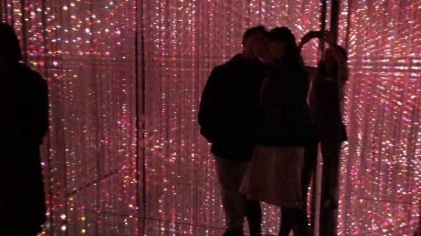 TeamLab Borderless Tokyo | Coolest Digital Arts Museum!