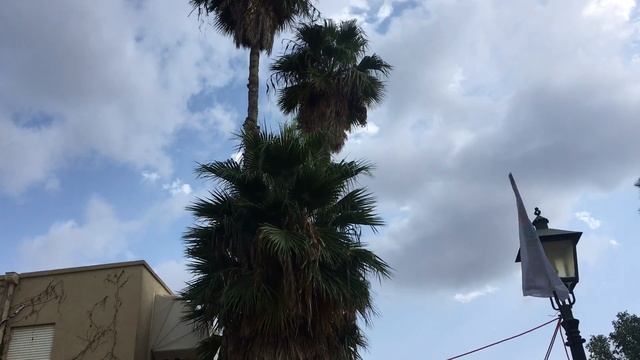 IMG 1026 смотреть онлайн