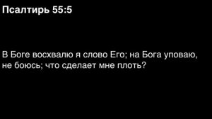 День 156. Библия за год. С митрополитом Иларионом.