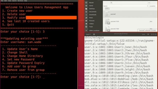 Linux Users Management Script смотреть онлайн