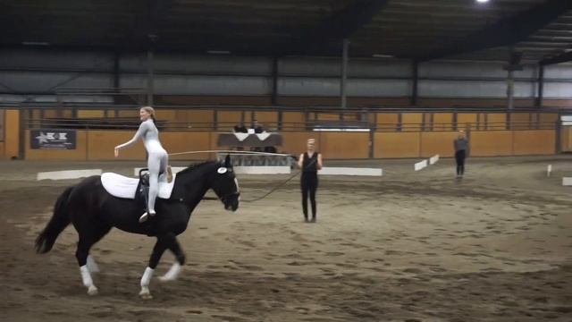 Meadow Creek Eve Bolack Freestyle Round 1 VaultCanada Individual Canter D Women 2022 AEVA смотреть онлайн