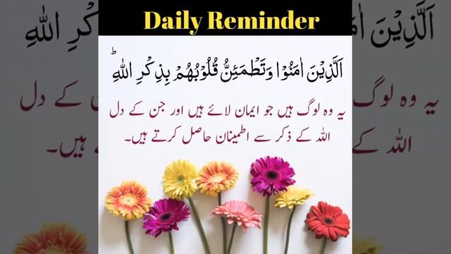 Allah k zikr me hai dil ka sakoon смотреть онлайн