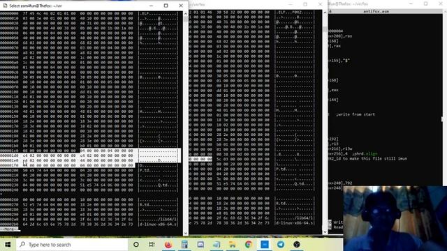 asm054 - How to make anti virus for F0X2 virus смотреть онлайн