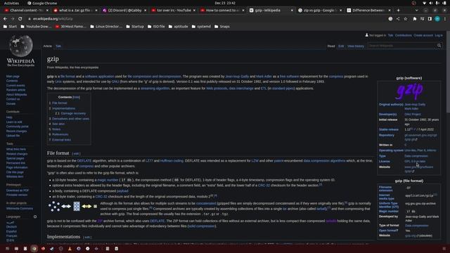 252 what is gzip? смотреть онлайн