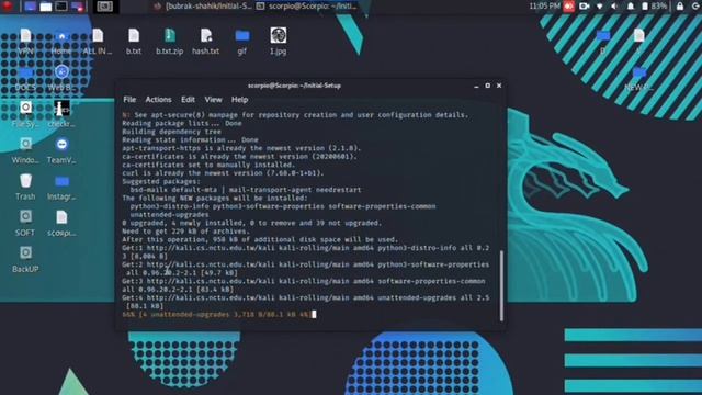 Kali Linux / Linux Initial Package Installer (Tool Which Install All Necessary Packages & More) смотреть онлайн