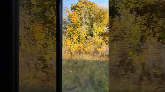 На улице, за окном поезда золотая осень. смотреть онлайн