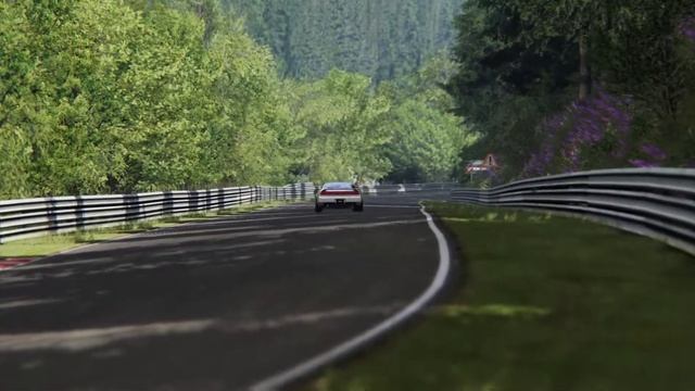 Acura NSX ''90'' Nurburgring