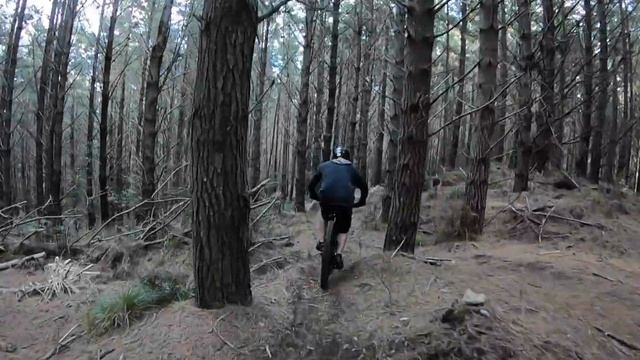MTB MACOS Last pre-event training in the woods... 6 more sleeps to the event day смотреть онлайн