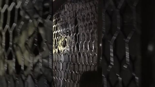 Mobile diagnostic 2009 Bentley continental GT yellow oil light fixed, details in description. смотреть онлайн