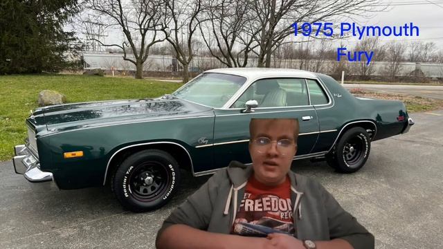 IN A BACKGROUND OF A 1975 PLYMOUTH FURY (ROBINBEARE) смотреть онлайн