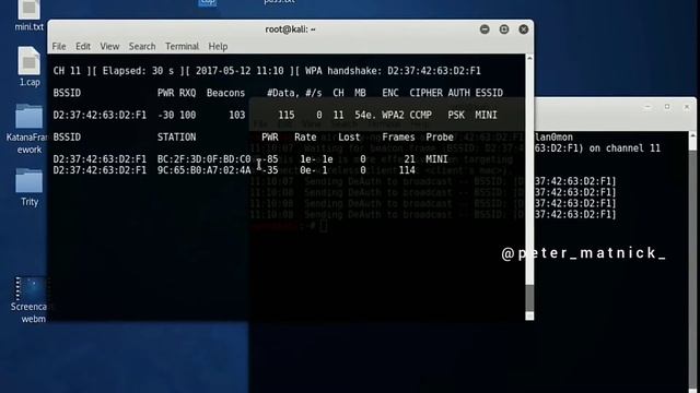 Aircrack-ng Kali Linux | peter matnick | смотреть онлайн