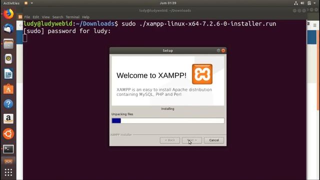 Install XAMPP On Ubuntu Bionic Beaver 18.04 LTS смотреть онлайн