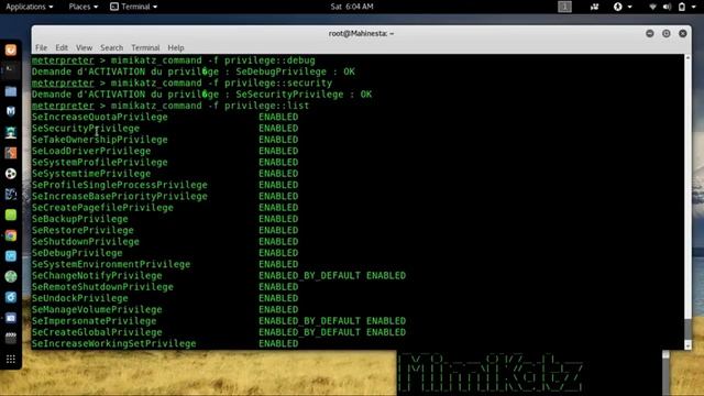 Mimikatz_how_to_use_to_get_Windows_Admin_Password смотреть онлайн