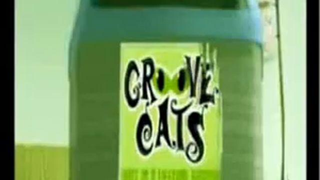 GROOVE CATS - Once in a life time groove смотреть онлайн